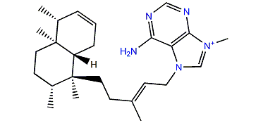 Agelasine K